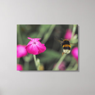 Bumble Bee Flying Towards Flower Botanical Photo Canvas Print