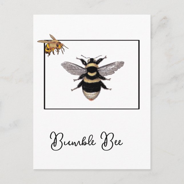 Bumble Bee in Bee Frame Postcard (Front)