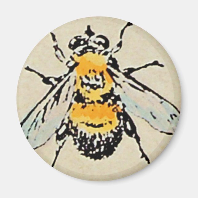Bumble Bee Magnet (Front)