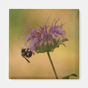 Bumble Bee Magnet