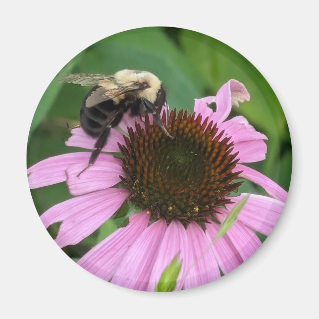 Bumble Bee Magnet (Front)