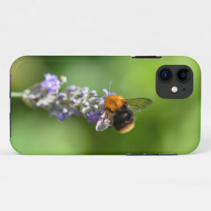 Bumble Bee On A Lavender  Case-Mate iPhone Case