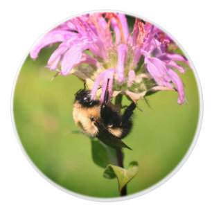 Bumble Bee On Bee Balm Flower Close Up  Ceramic Knob