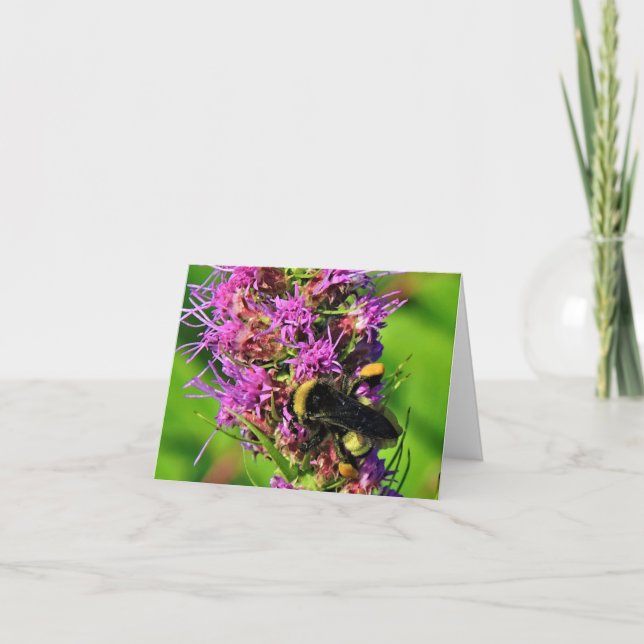 Bumble Bee on Blazing Star  Note Card (Front)
