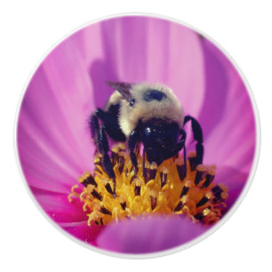 Bumble Bee On Cosmos Flower   Ceramic Knob