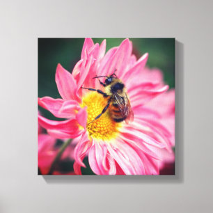 Bumble Bee On Pink Daisy Flower 2  Canvas Print