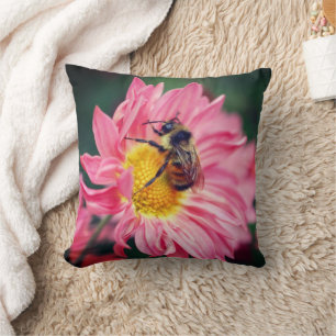 Bumble Bee On Pink Daisy Flower 2   Cushion