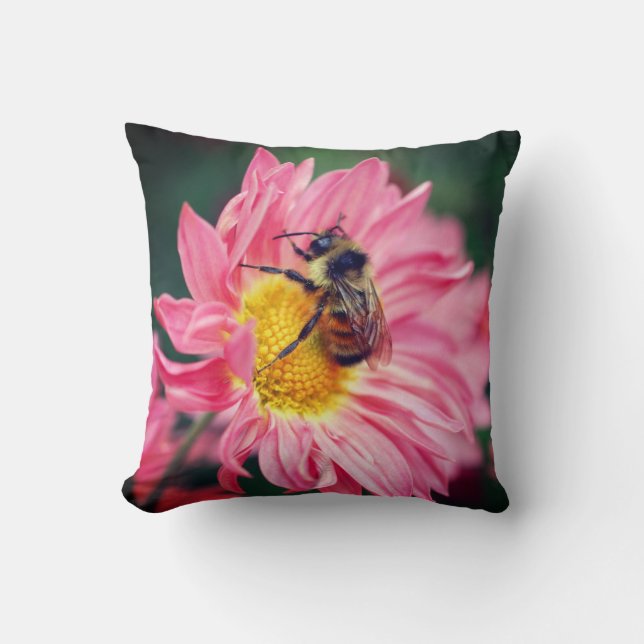 Bumble Bee On Pink Daisy Flower 2   Cushion (Front)