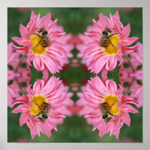 Bumble Bee On Pink Daisy Flower Abstract  Poster