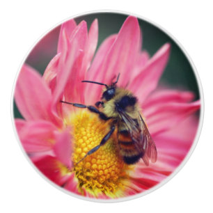 Bumble Bee On Pink Daisy Flower Close Up  Ceramic Knob