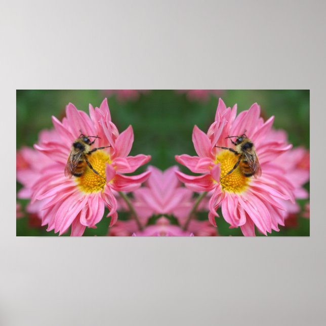 Bumble Bee On Pink Daisy Flower Mirror Abstract Poster (Front)