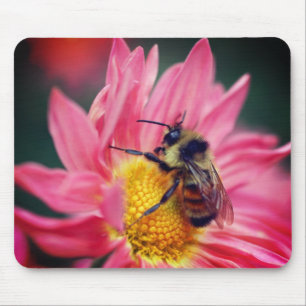 Bumble Bee On Pink Daisy Flower  Mouse Pad