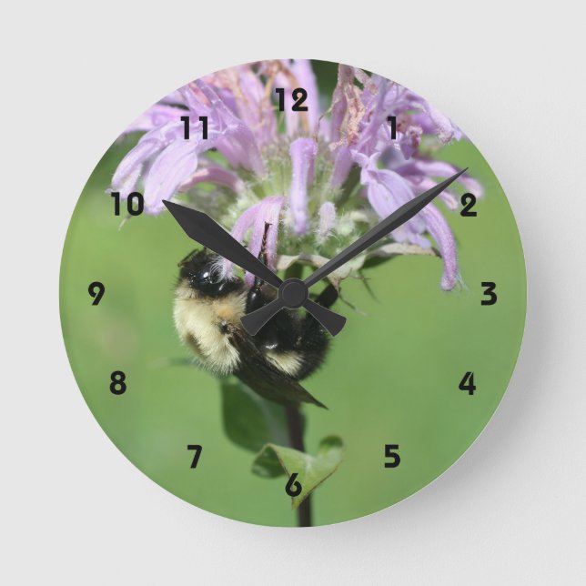 Bumble Bee On Purple Bee Balm Flower Round Clock (Front)