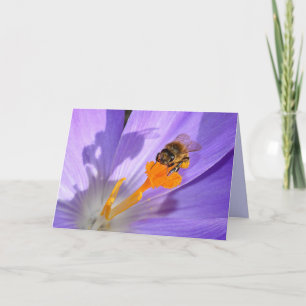 Bumble Bee On Purple Flower Blank Photo Card