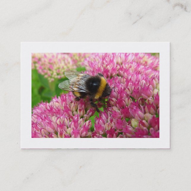 Bumble Bee on Sedum (Bordered) Business Card (Front)