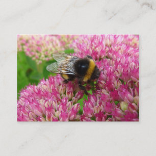 Bumble Bee on Sedum Business Card