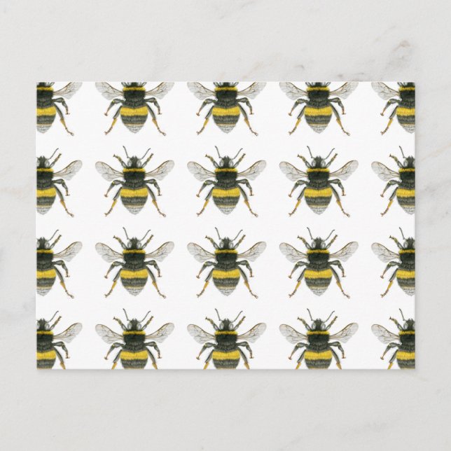 Bumble Bee Pattern Postcard (Front)