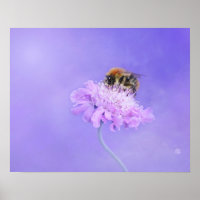 Bumble Bee Perched on a Purple Flower