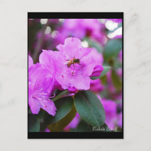 Bumble Bee Postcard