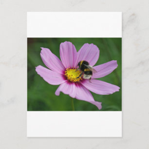 bumble bee postcard