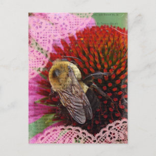 Bumble Bee Postcard