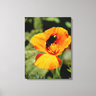 Bumble Bee Wildflowers Canvas Print