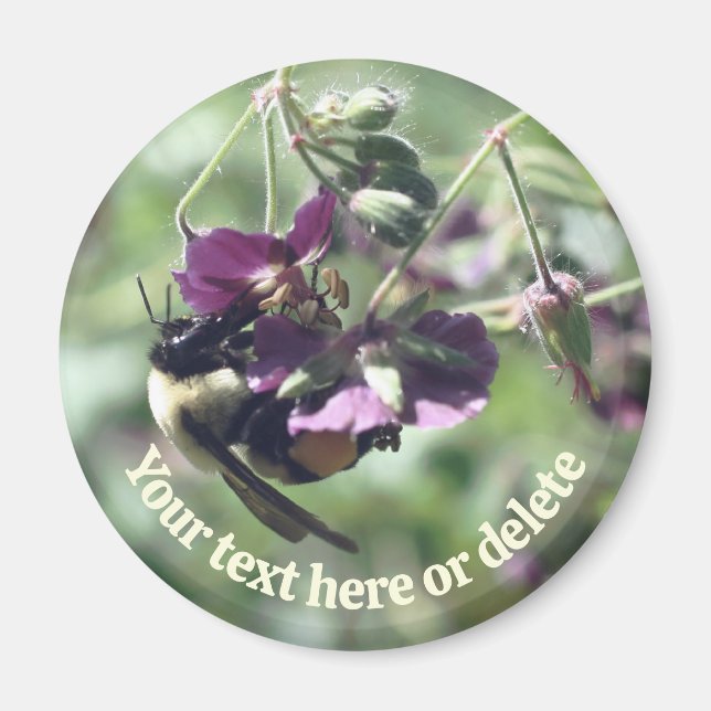 Bumble Bee With Pollen Flower Nature Personalized Magnet (Front)
