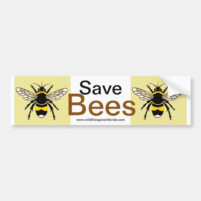 Bumblebbee - bumper sticker (Front)