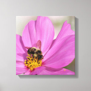 Bumblebee and Cosmos  Canvas Print