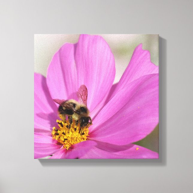 Bumblebee and Cosmos  Canvas Print (Front)