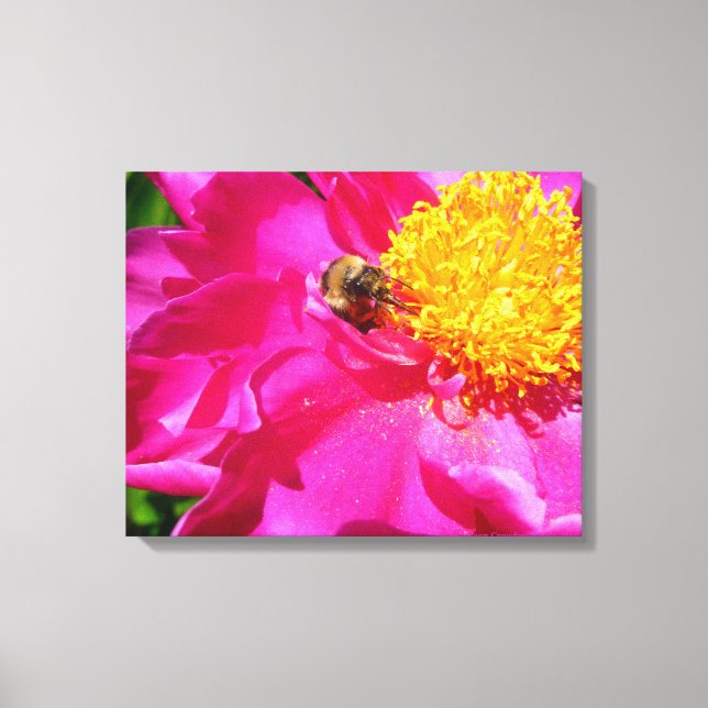 Bumblebee and Peony Canvas Print (Front)
