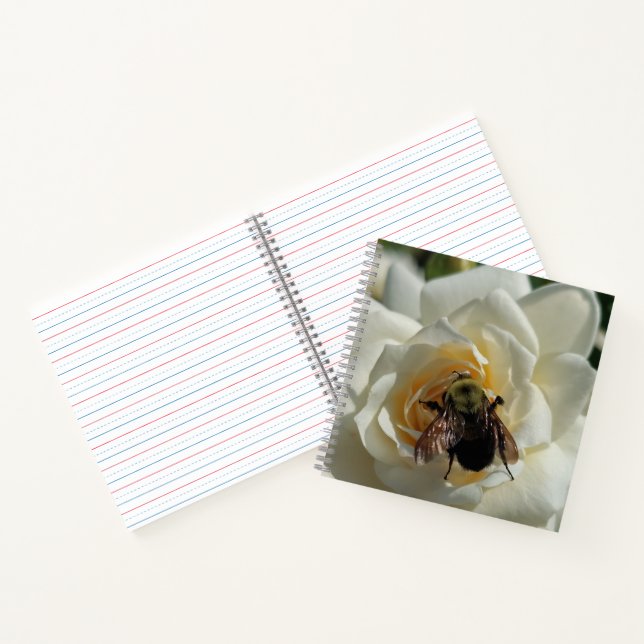 Bumblebee and White Rose Notebook (Inside)