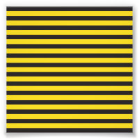 Bumblebee Black Yellow Horizontal Lines Bumble Bee