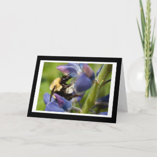 Bumblebee Blank Greeting Card