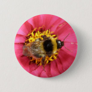 Bumblebee Button