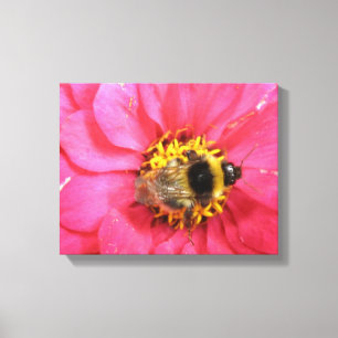 Bumblebee Canvas Print