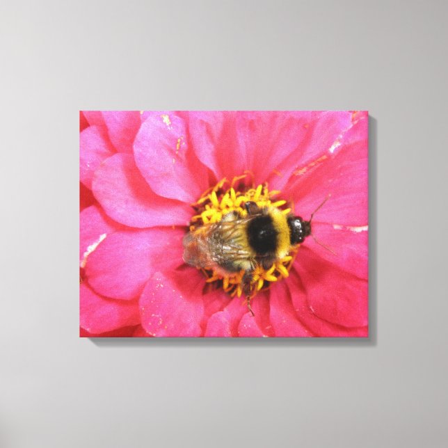 Bumblebee Canvas Print (Front)