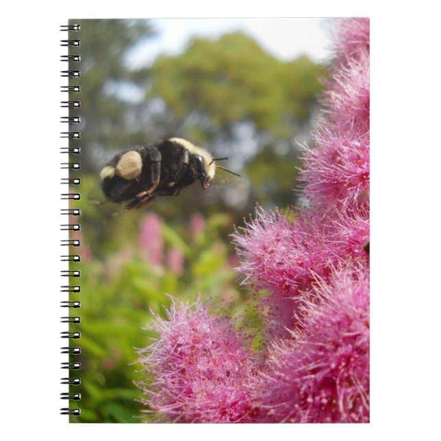 Bumblebee Float Notebook (Front)