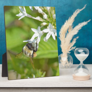 Bumblebee & flowers plaque