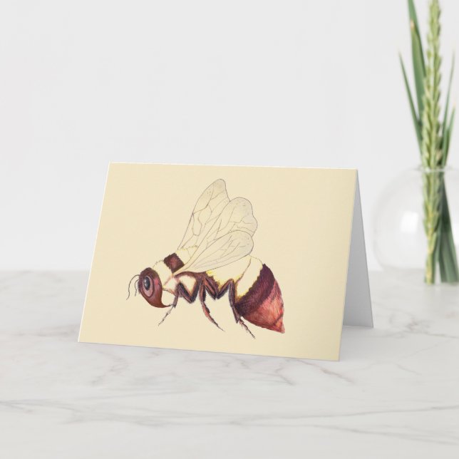Bumblebee Greeting Card (Front)