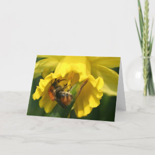 Bumblebee Holiday Card