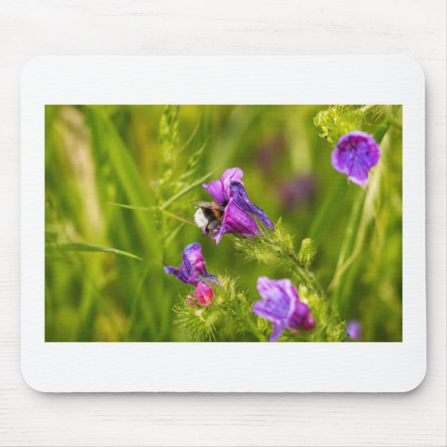 Bumblebee in Bloom  Mouse Pad (Front)