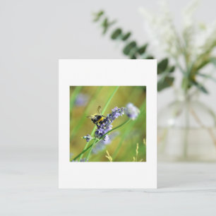 Bumblebee & Lavender Postcard