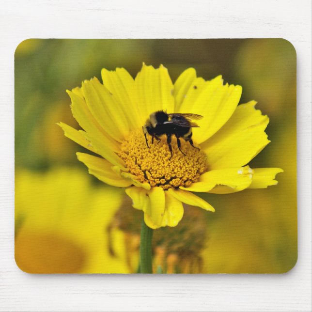 Bumblebee mousepad (Front)