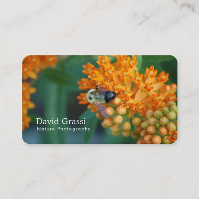 Bumblebee  (Nature) Photographer Business Card (Front)