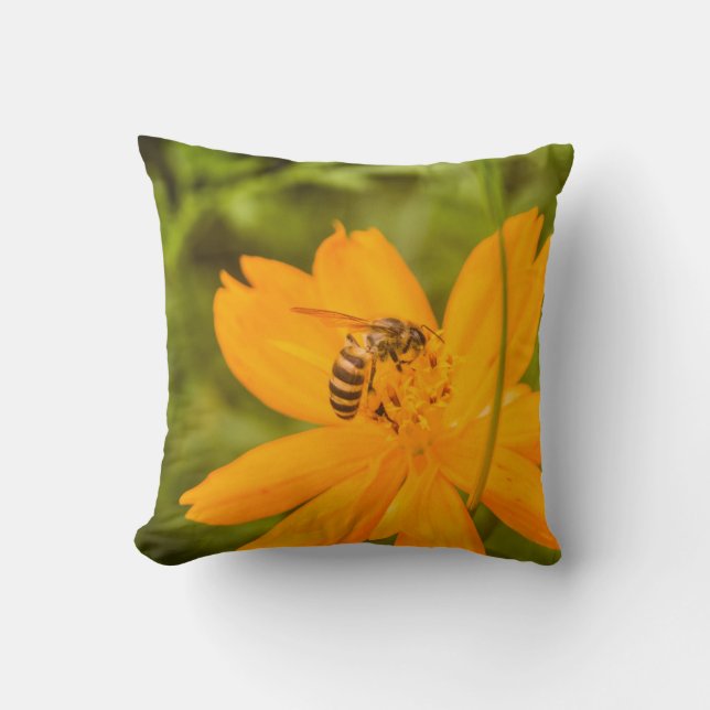 Bumblebee on a Sulphur Cosmos Cushion (Front)