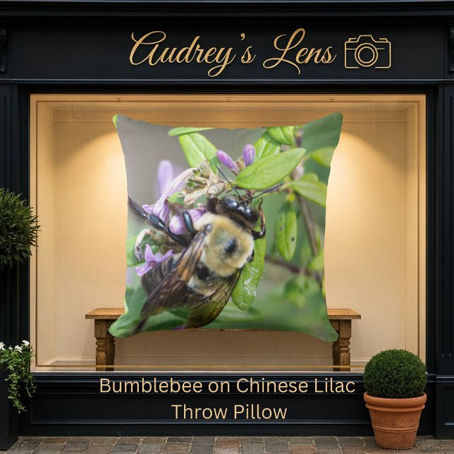 Bumblebee on Chinese Lilac Cushion (Creator Uploaded)