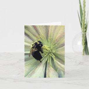 Bumblebee On Clematis Flower Photography Note Card