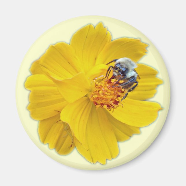 Bumblebee on Cosmos Magnet (Front)
