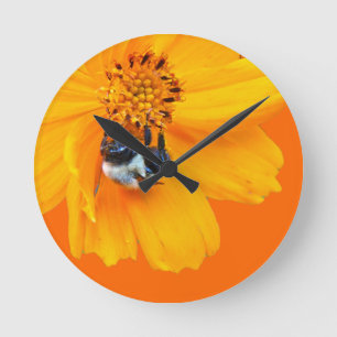 Bumblebee on Cosmos Round Clock